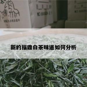 新的福鼎白茶味道如何分析