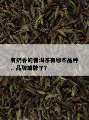 有奶香的普洱茶有哪些品种、品牌或牌子？