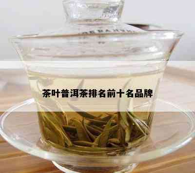 茶叶普洱茶排名前十名品牌