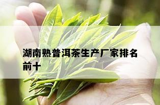 湖南熟普洱茶生产厂家排名前十