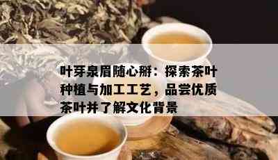 叶芽泉眉随心掰：探索茶叶种植与加工工艺，品尝优质茶叶并了解文化背景