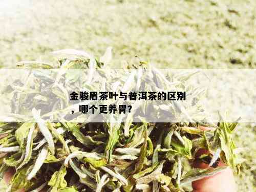 金骏眉茶叶与普洱茶的区别，哪个更养胃？