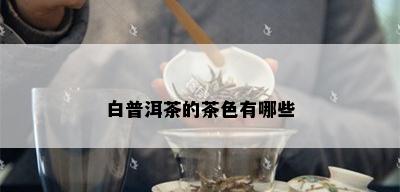 白普洱茶的茶色有哪些