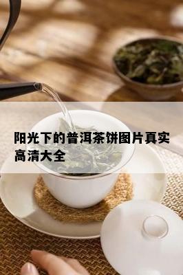 阳光下的普洱茶饼图片真实高清大全