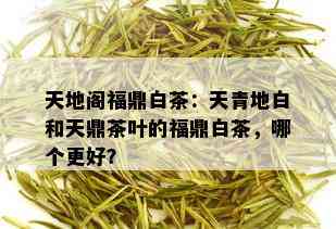 天地阁福鼎白茶：天青地白和天鼎茶叶的福鼎白茶，哪个更好？