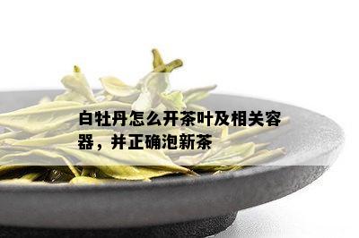 白牡丹怎么开茶叶及相关容器，并正确泡新茶