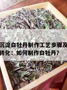 沉淀白牡丹制作工艺步骤及转化：如何制作白牡丹？