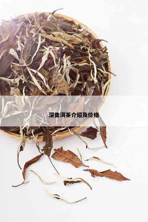 深普洱茶介绍及价格