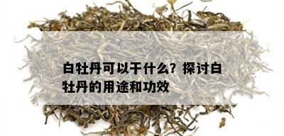 白牡丹可以干什么？探讨白牡丹的用途和功效