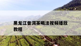 黑龙江普洱茶喝法视频播放教程