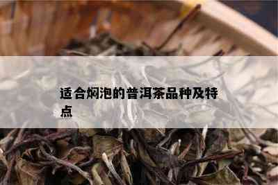 适合焖泡的普洱茶品种及特点