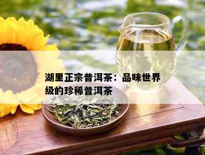 湖里正宗普洱茶：品味世界级的珍稀普洱茶