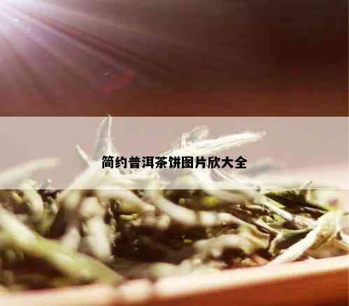 简约普洱茶饼图片欣大全