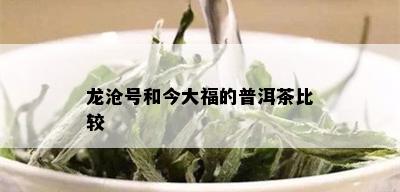 龙沧号和今大福的普洱茶比较