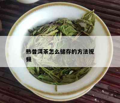 熟普洱茶怎么储存的方法视频