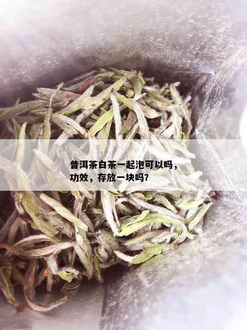 普洱茶白茶一起泡可以吗，功效，存放一块吗？