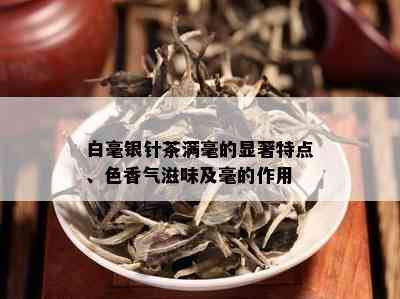 白毫银针茶满毫的显著特点、色香气滋味及毫的作用