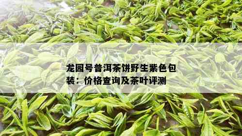 龙园号普洱茶饼野生紫色包装：价格查询及茶叶评测