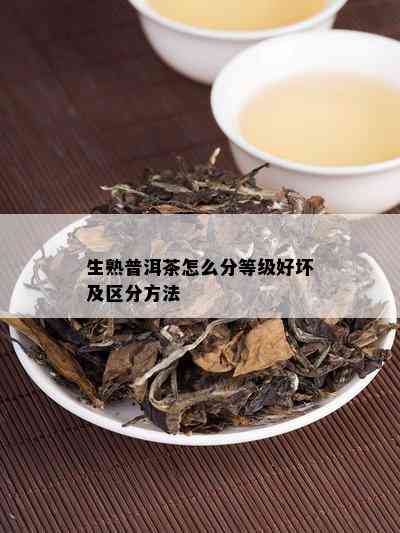 生熟普洱茶怎么分等级好坏及区分方法