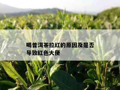 喝普洱茶拉红的原因及是否导致红色大便