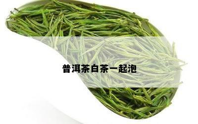 普洱茶白茶一起泡