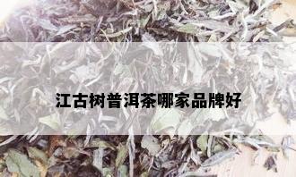 江古树普洱茶哪家品牌好