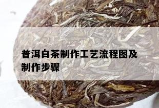 普洱白茶制作工艺流程图及制作步骤