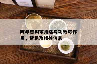 陈年普洱茶用途与功效与作用，禁忌及相关信息