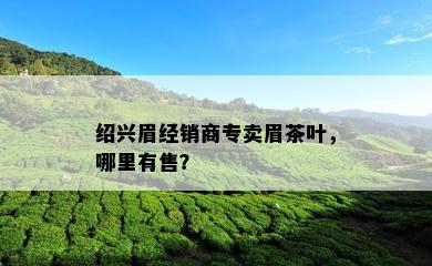 绍兴眉经销商专卖眉茶叶，哪里有售？