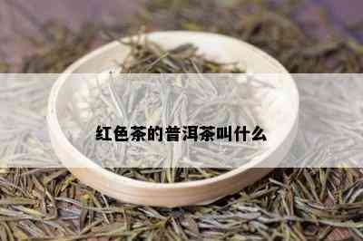 红色茶的普洱茶叫什么