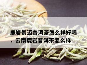 鹿岩景迈普洱茶怎么样好喝，云南鹿岩普洱茶怎么样