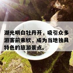 湖光明白牡丹开，吸引众多游客前来欣，成为当地独具特色的旅游景点。