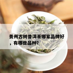 贵州古树普洱茶哪家品牌好，有哪些品种？