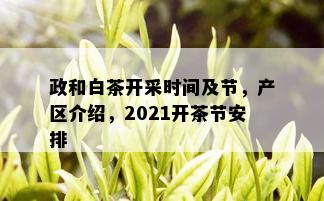 政和白茶开采时间及节，产区介绍，2021开茶节安排