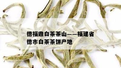 德福鼎白茶茶山——福建省德市白茶茶饼产地