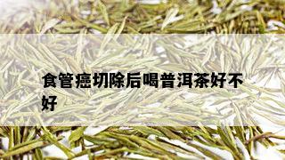 食管癌切除后喝普洱茶好不好