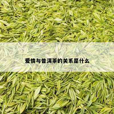 爱情与普洱茶的关系是什么