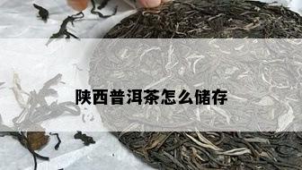 陕西普洱茶怎么储存