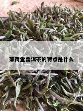 薄荷堂普洱茶的特点是什么