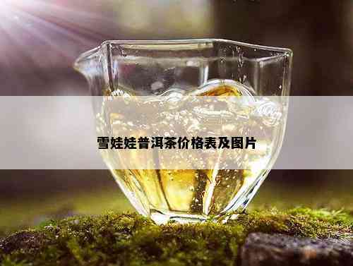 雪娃娃普洱茶价格表及图片