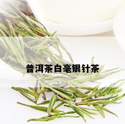 普洱茶白毫银针茶