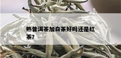 熟普洱茶加白茶好吗还是红茶？