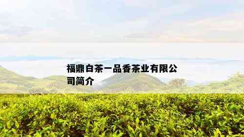 福鼎白茶一品香茶业有限公司简介