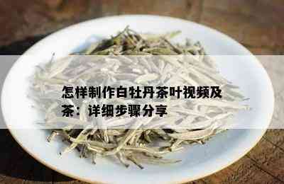 怎样制作白牡丹茶叶视频及茶：详细步骤分享