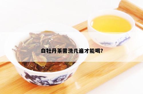 白牡丹茶需洗几遍才能喝？