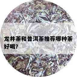 龙井茶和普洱茶推荐哪种茶好喝？