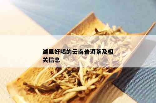 湖里好喝的云南普洱茶及相关信息