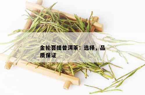 金轮菩提普洱茶：选择，品质保证