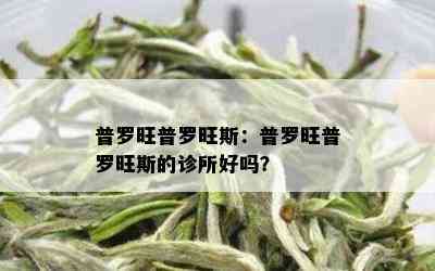 普罗旺普罗旺斯：普罗旺普罗旺斯的诊所好吗？