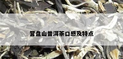 营盘山普洱茶口感及特点